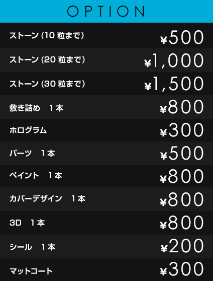 OPTION
            ストーン(10粒まで）￥500
            ストーン(20粒まで）　￥1,000
            ストーン(30粒まで）　￥1,500
            敷き詰め　1本　￥800
            ホログラム　￥300
            パーツ　1本　￥500
            ペイント　1本　￥800
            カバーデザイン　1本　￥800
            3D　1本　￥800
            シール　1本　￥200
            マットコート　￥300